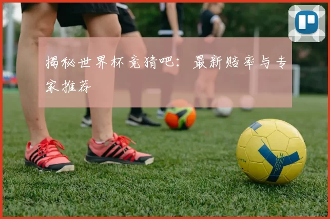 揭秘世界杯竞猜吧：最新赔率与专家推荐