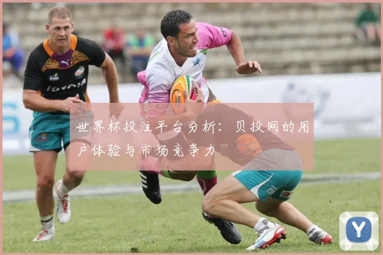 世界杯投注平台分析：贝投网的用户体验与市场竞争力