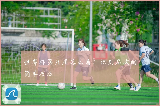 世界杯第几届怎么看？识别届次的简单方法