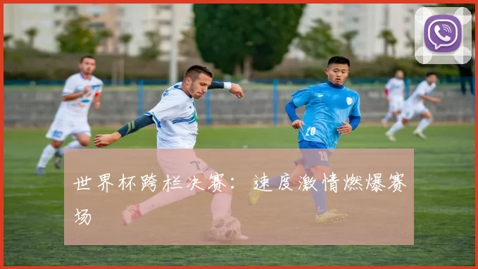 世界杯跨栏决赛：速度激情燃爆赛场