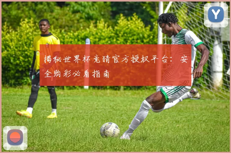 揭秘世界杯竞猜官方授权平台:安全购彩必看指南