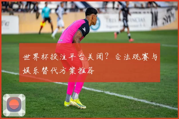 世界杯投注平台关闭?合法观赛与娱乐替代方案推荐