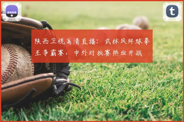 陕西卫视高清直播：武林风环球拳王争霸赛，中外对抗赛热血开战