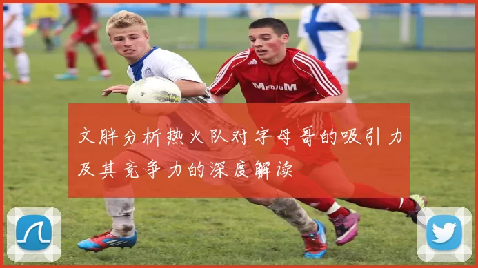 文胖分析热火队对字母哥的吸引力及其竞争力的深度解读
