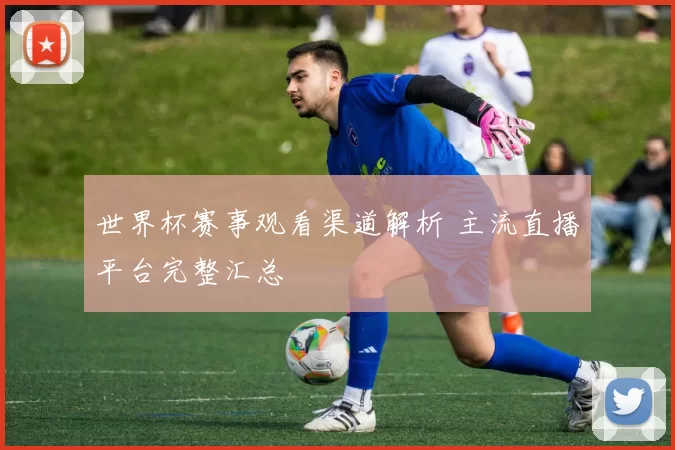 世界杯赛事观看渠道解析 主流直播平台完整汇总