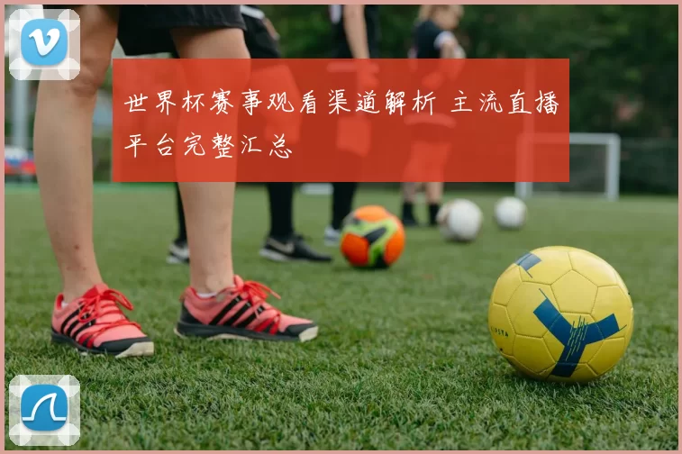 世界杯赛事观看渠道解析 主流直播平台完整汇总