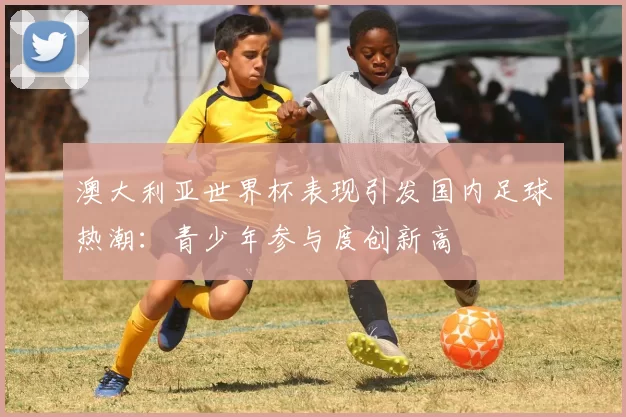 澳大利亚世界杯表现引发国内足球热潮：青少年参与度创新高