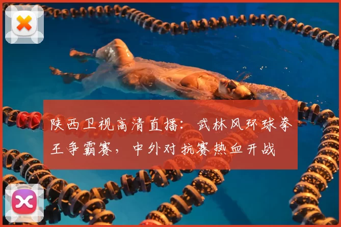 陕西卫视高清直播：武林风环球拳王争霸赛，中外对抗赛热血开战