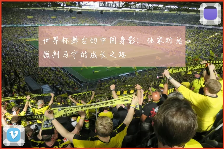 世界杯舞台的中国身影：独家对话裁判马宁的成长之路